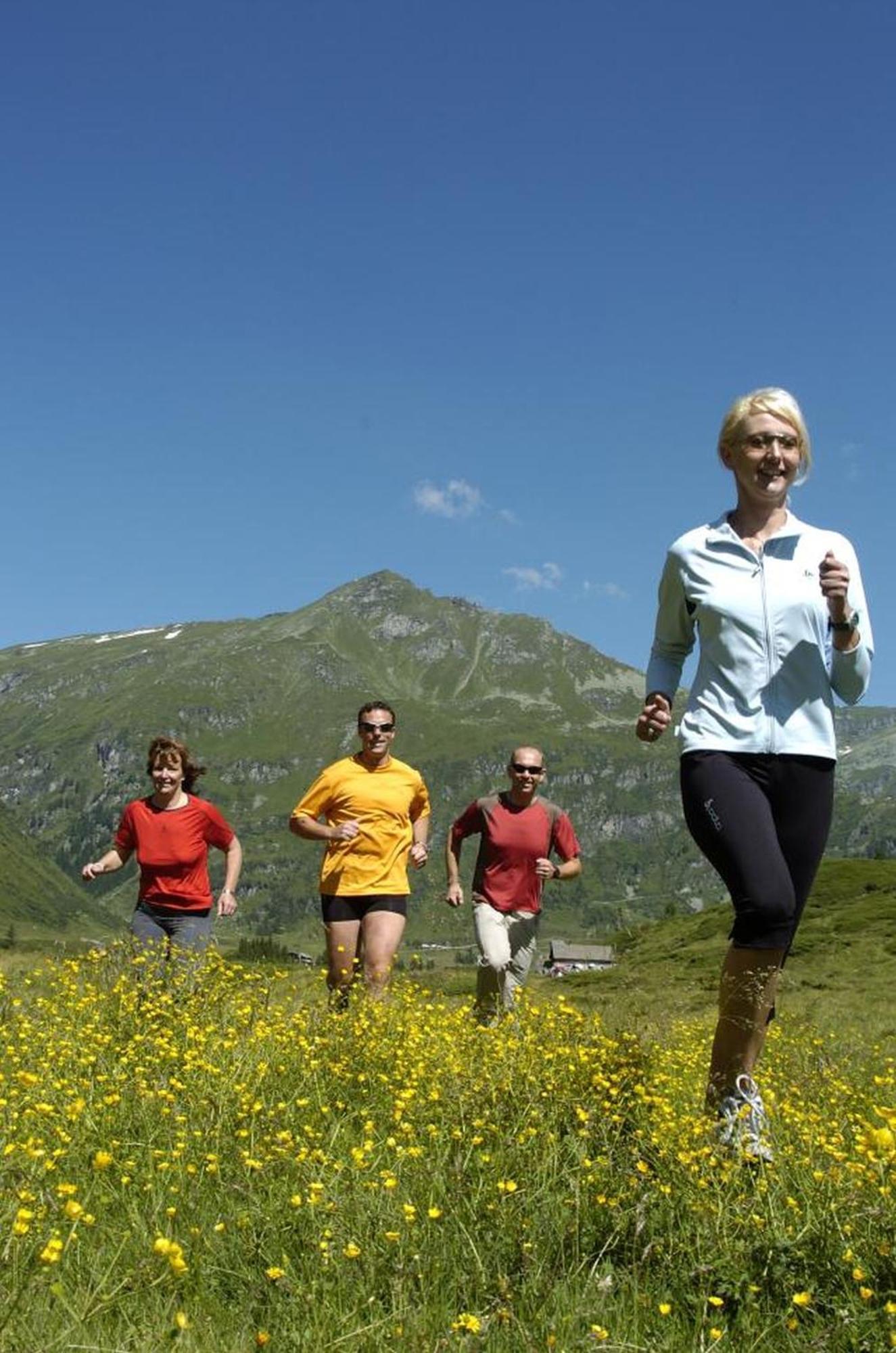 Apartment Schiwiese Mit Freiem Eintritt In Alpentherme Und Sommernutzung Der Gasteiner Bergbahnen *