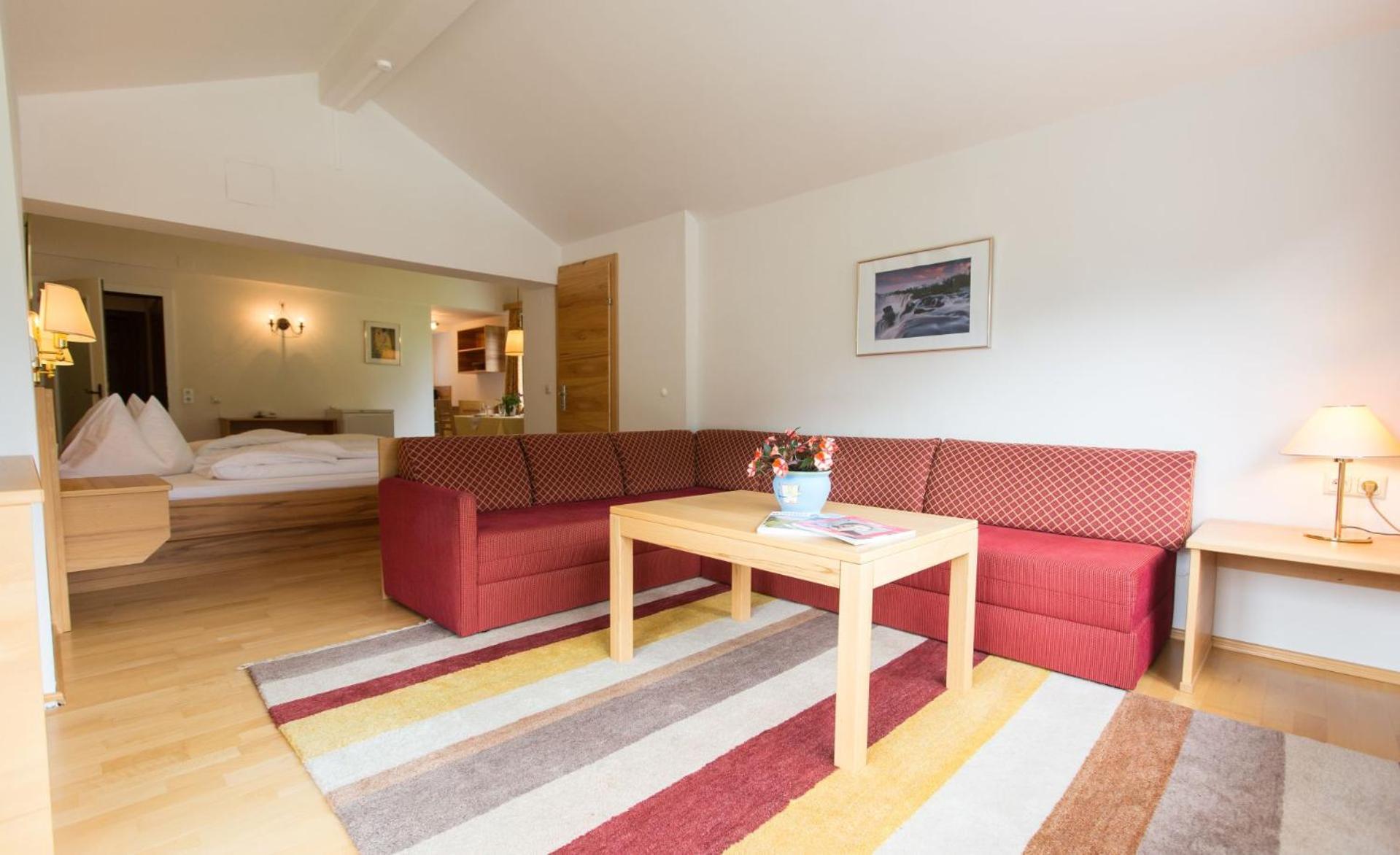Schiwiese Mit Freiem Eintritt In Alpentherme Und Sommernutzung Der Gasteiner Bergbahnen Apartment Bad Hofgastein